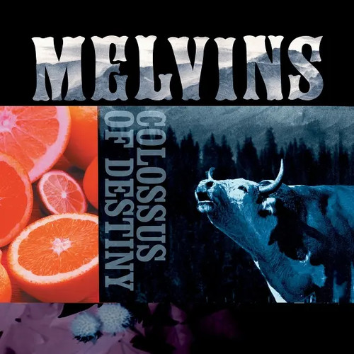 Colossus destiny live - colossus, destiny: