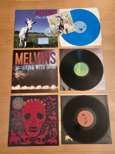 Melvins nm - lp, nm/nm