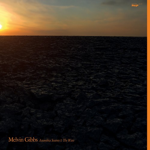 Melvin gibbs anamibia - gibbs,